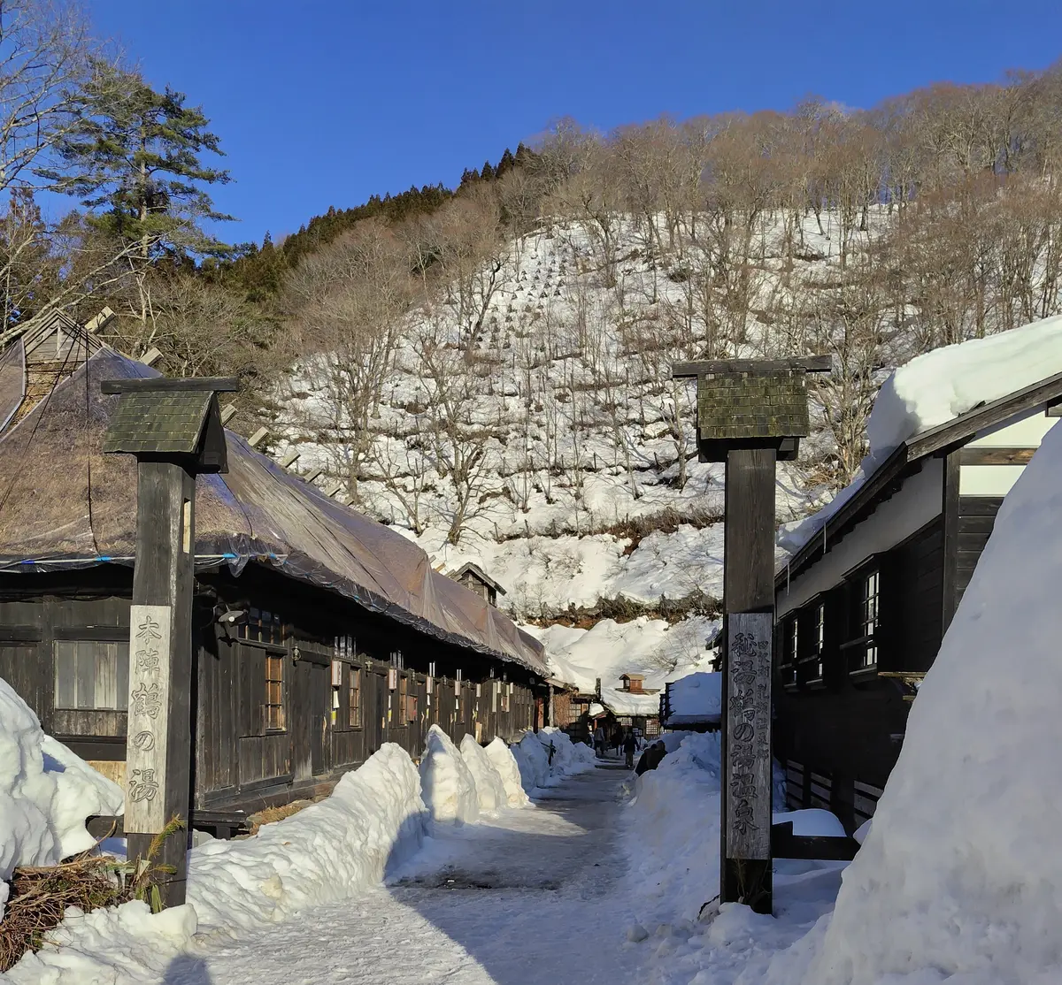 秘湯の宿　鶴の湯温泉