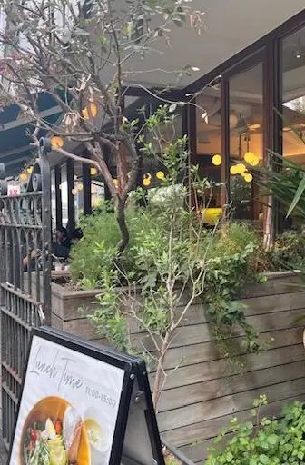 渋谷ランチからの念願のカフェへの画像_5