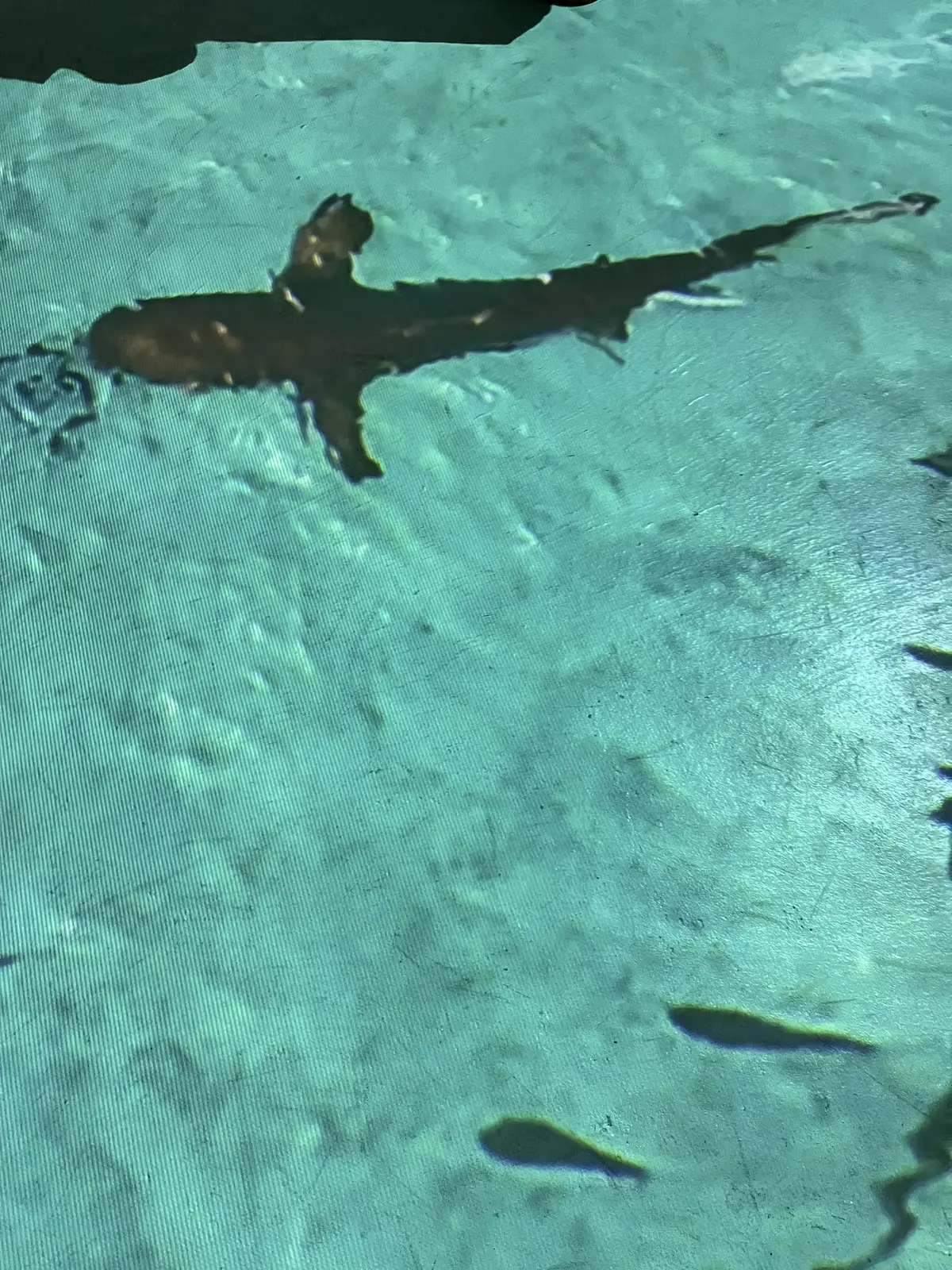 Jマダム同期と表参道ヒルズで初対面♪の画像_14