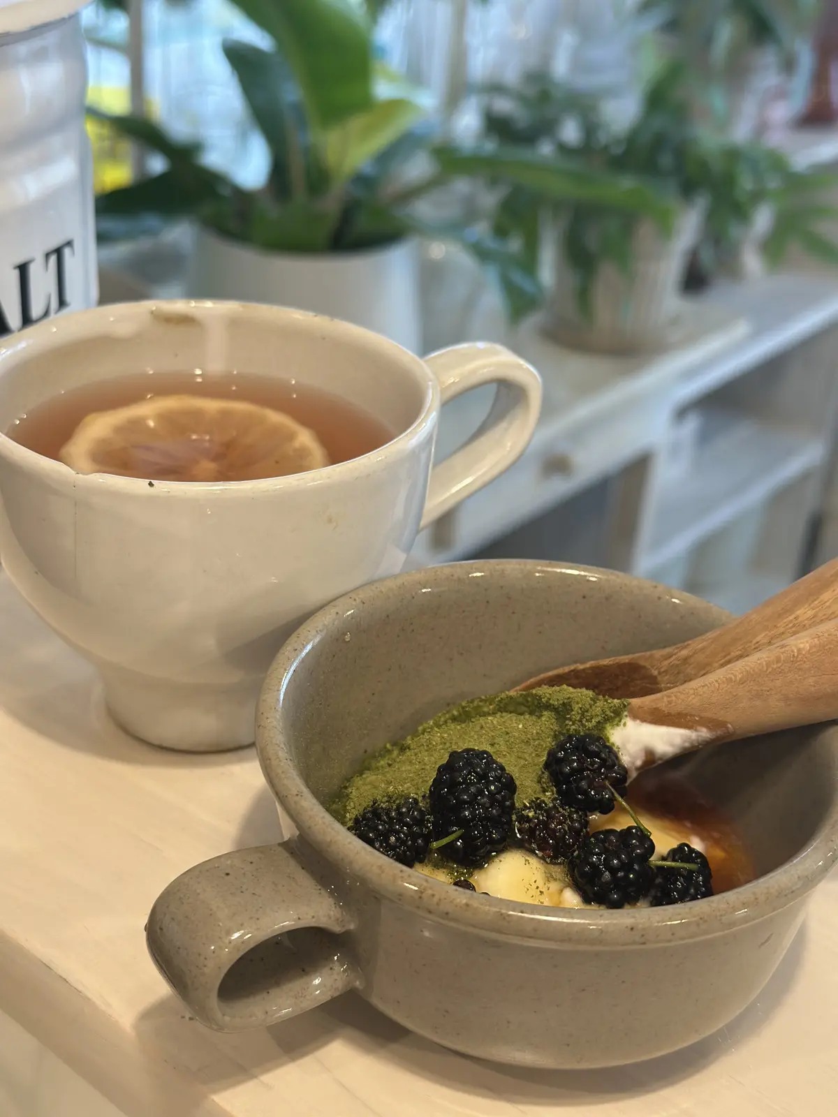 我が家のルーツポーチガーデンの画像_10