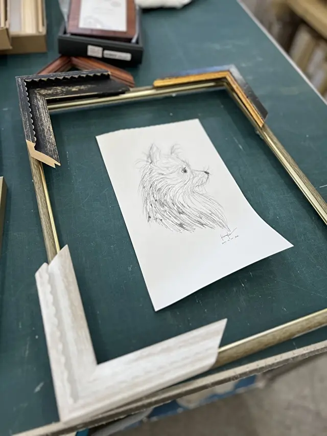 色んなフレームを当ててみます