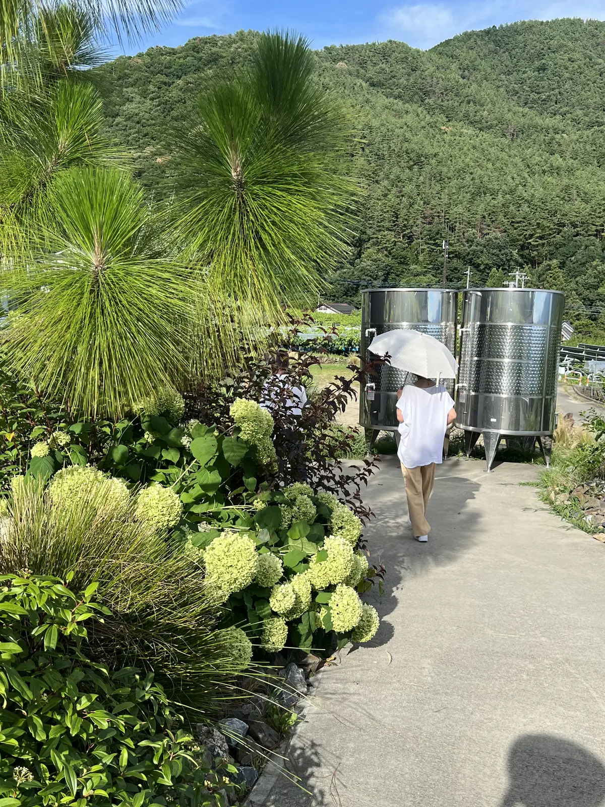 素敵なワインツーリズム体験＠98WINEの画像_14