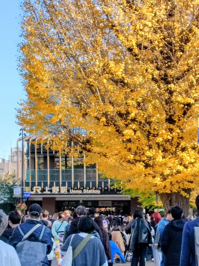 スカーフスタイルで紅葉の上野&老舗グルメの画像_1