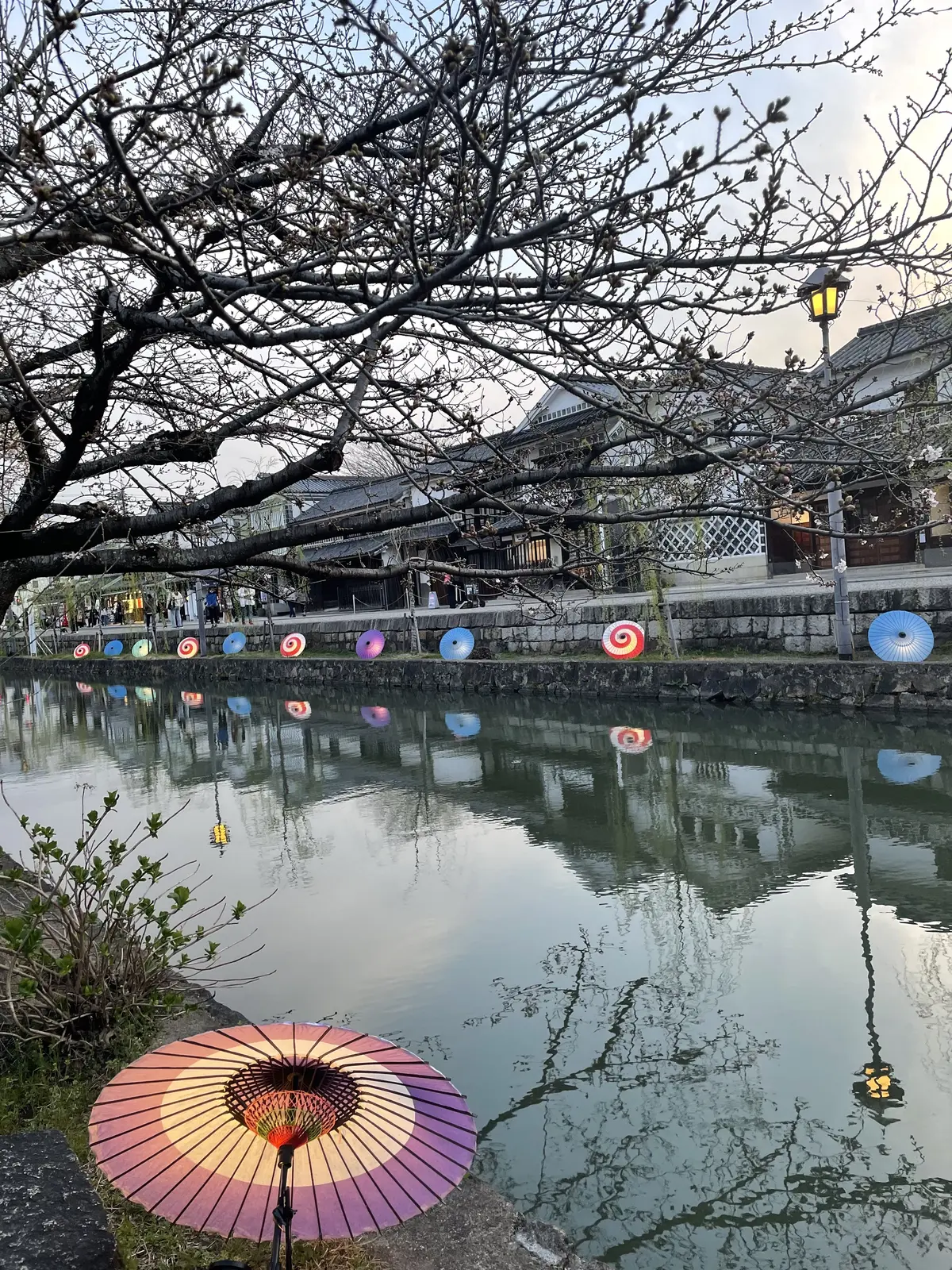 春はフレッシュカラーで顔映えも気分も上げの画像_6