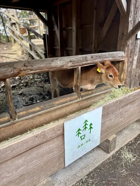 愛犬と那須へおでかけ♪牧場ランチ＆美しいの画像_4