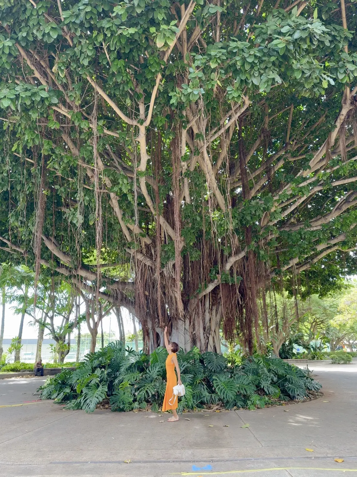 ハワイ旅グルメ編vol.1〜Tommy の画像_9