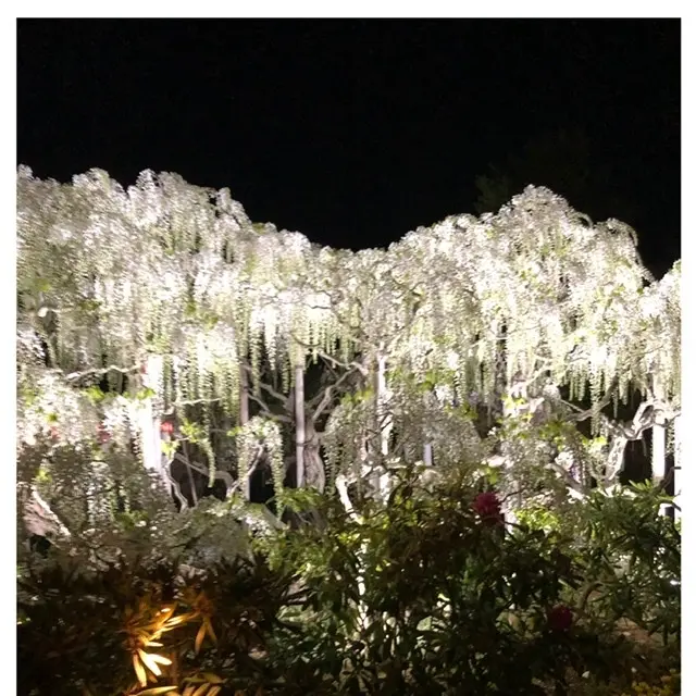 世界夢の旅行先ベスト10の画像_3