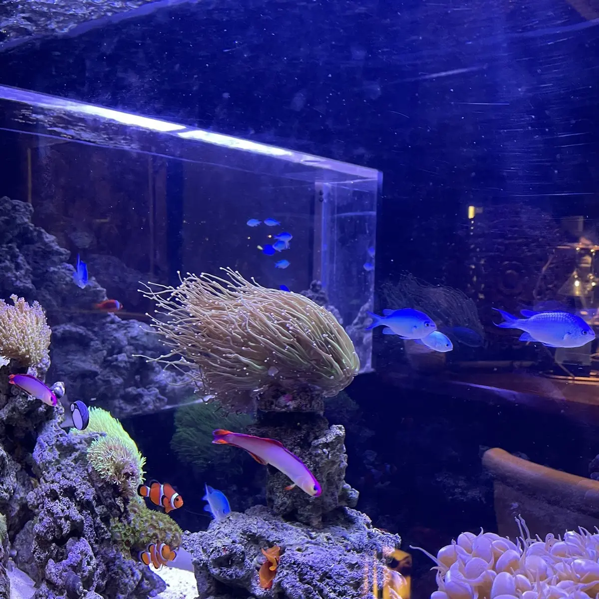 箱根で心と身体に栄養をの画像_5