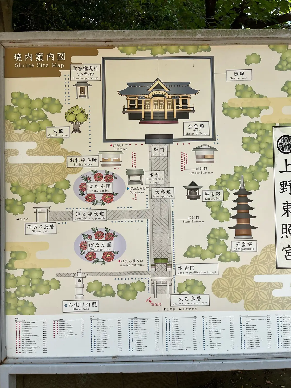 【神活】効果絶大！上野でたった30分しかの画像_3