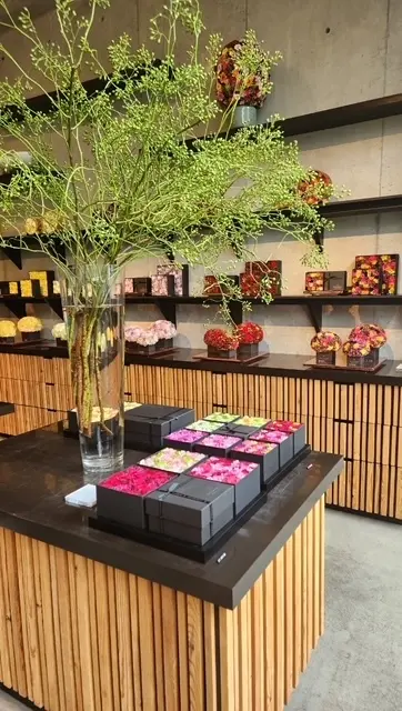 青山ランチとハラカドまでお散歩の画像_5