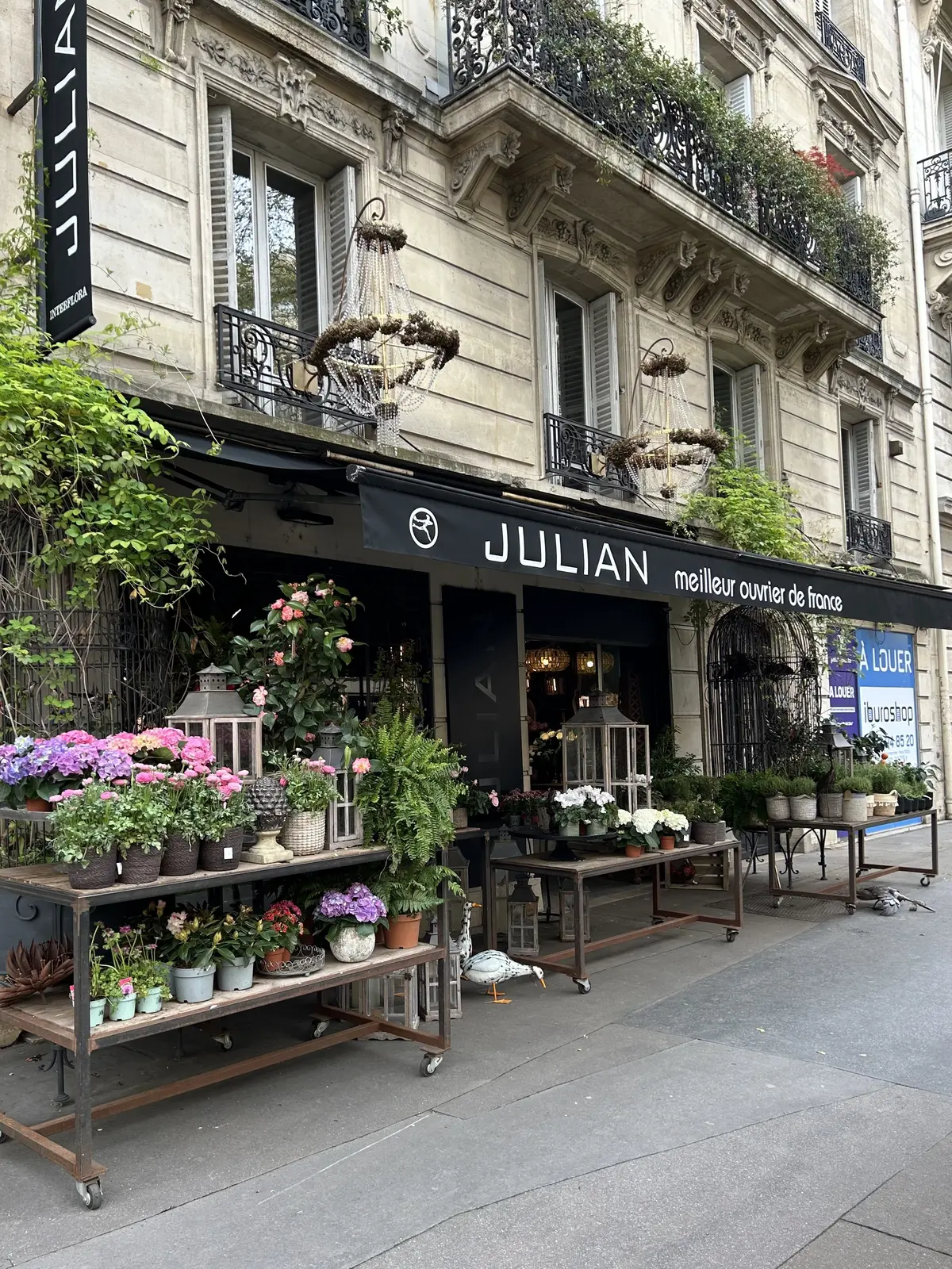 フランススタイルフラワー　パリスタイルフラワー　　レッスン　