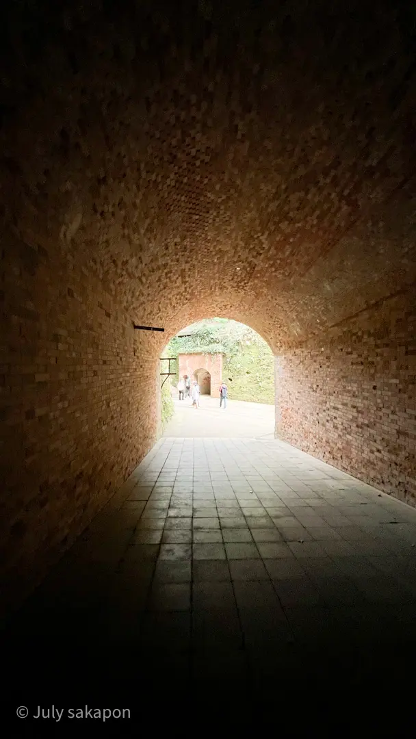 【さかぽんの冒険】前編☆無人島で奇跡のラの画像_20