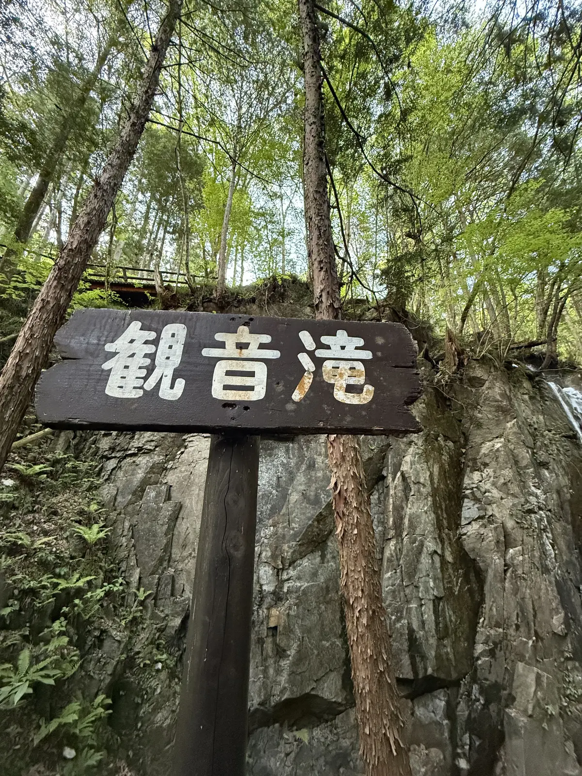 岐阜・付知峡の観音滝と新緑の風景