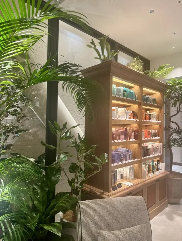 大好きな皆さんに、会いたいから会いにいくの画像_6