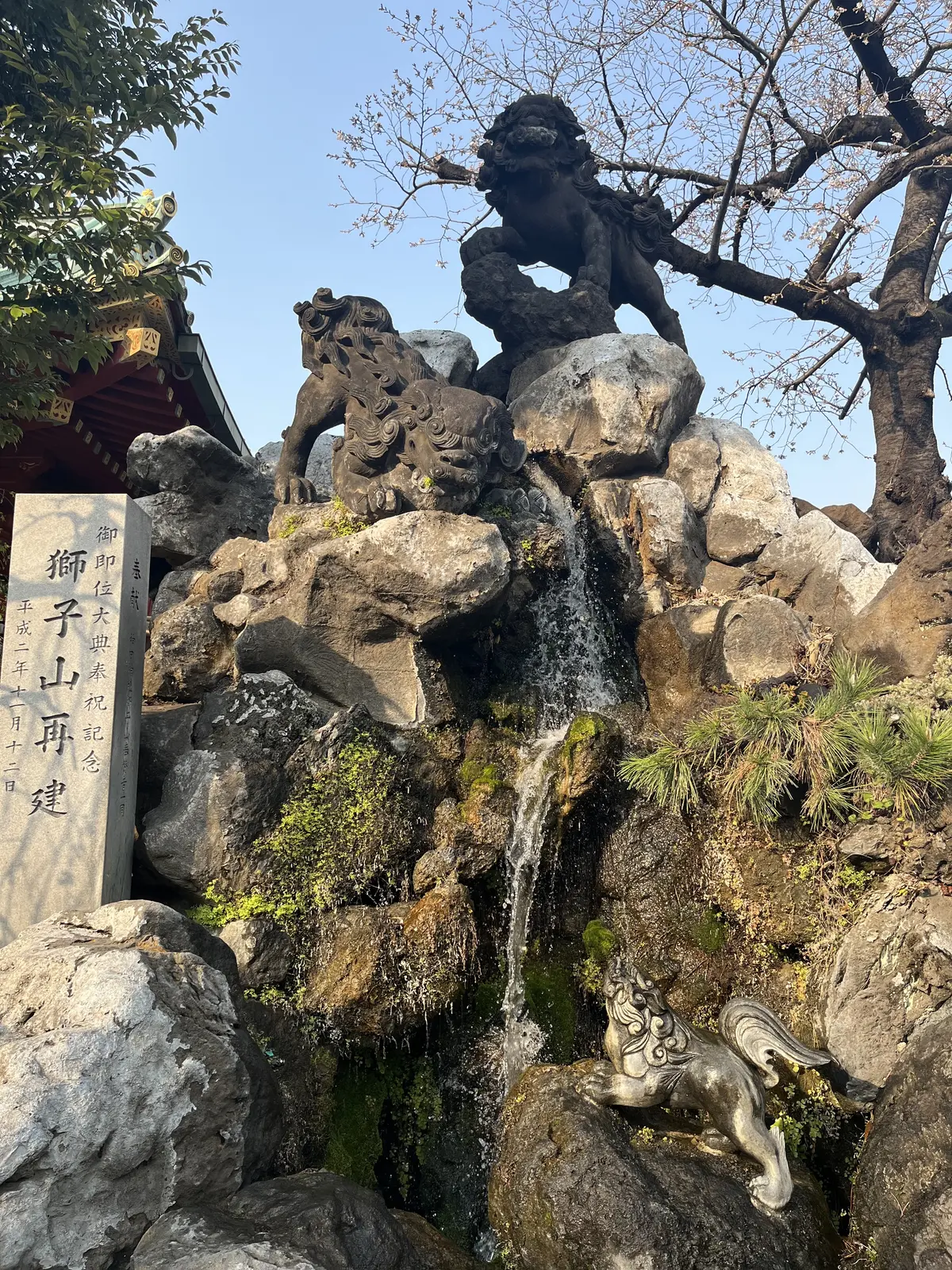 Jマダムと春のお出かけの画像_17