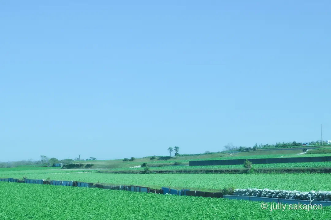 【さかぽんの冒険】三崎マグロきっぷ❤️海の画像_4