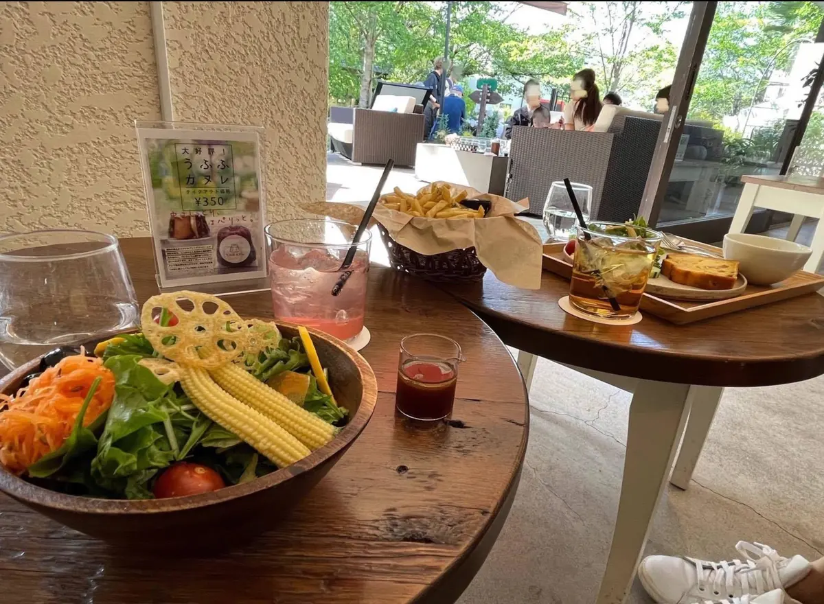 哲学の道　京都観光　京都おでかけ　グリーンテラス