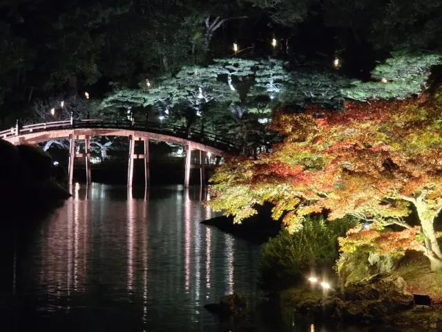 栗林公園ライトアップの画像_10