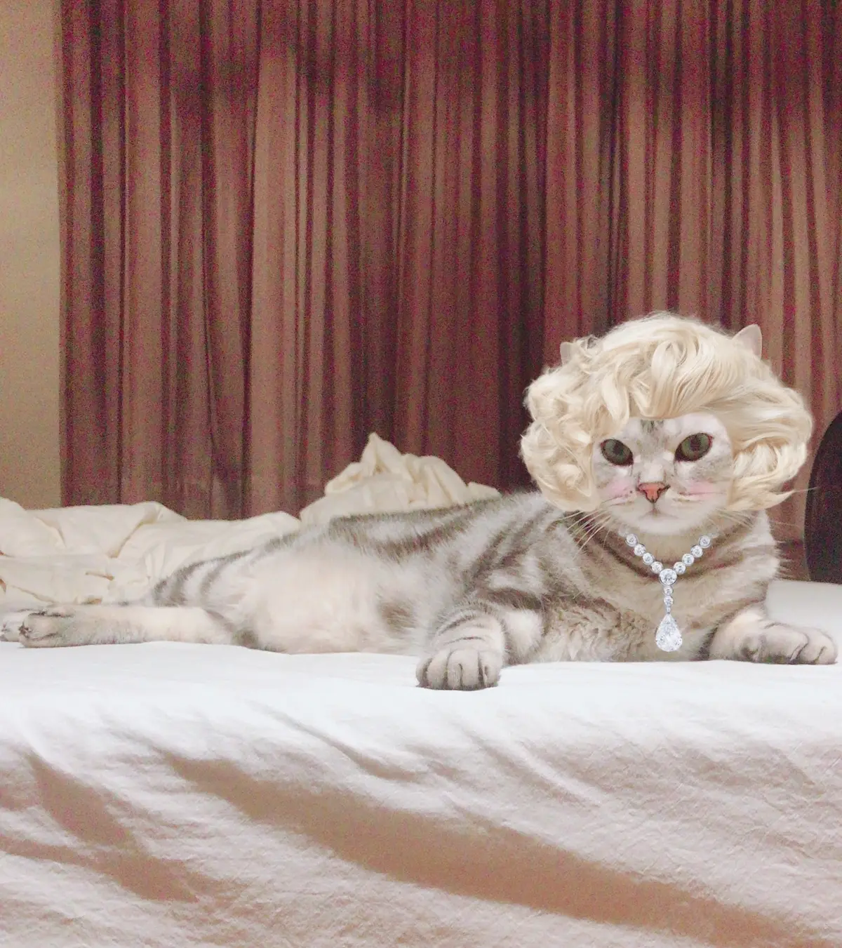 女装も似合う⁉︎の画像_1