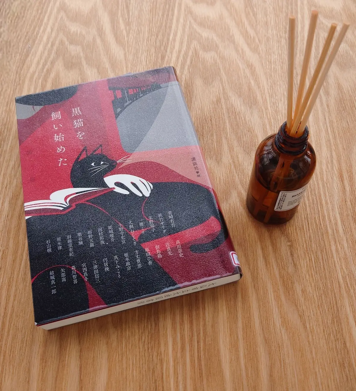 黒猫を飼い始めた