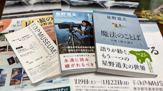 【さかぽんの美術手帖】カリブーを追って@の画像_2