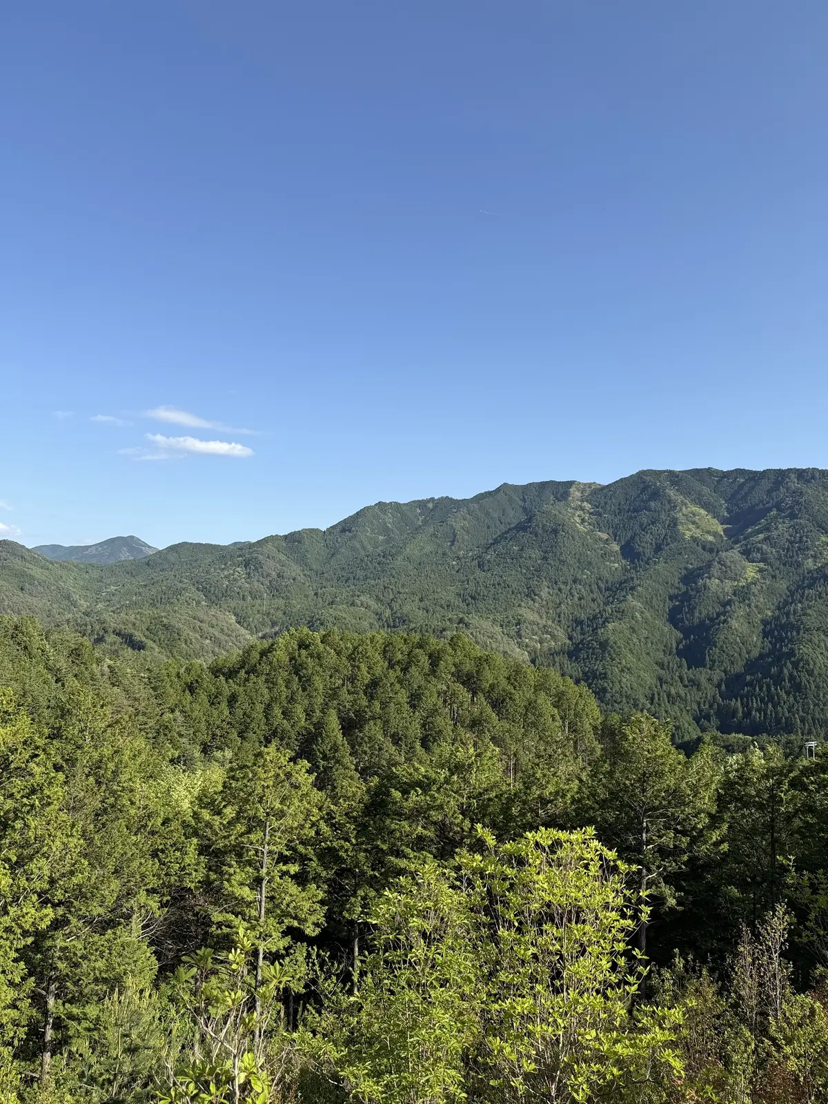 CROCE season2 木の温もりを感じる店内とテラス席