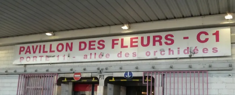 フランス　ランジス市場