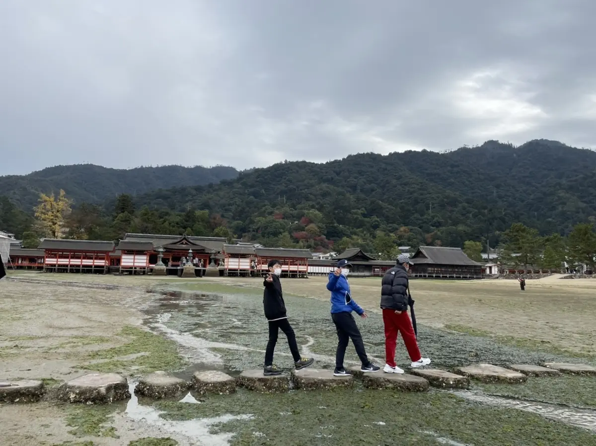 安芸の宮島旅の画像_3