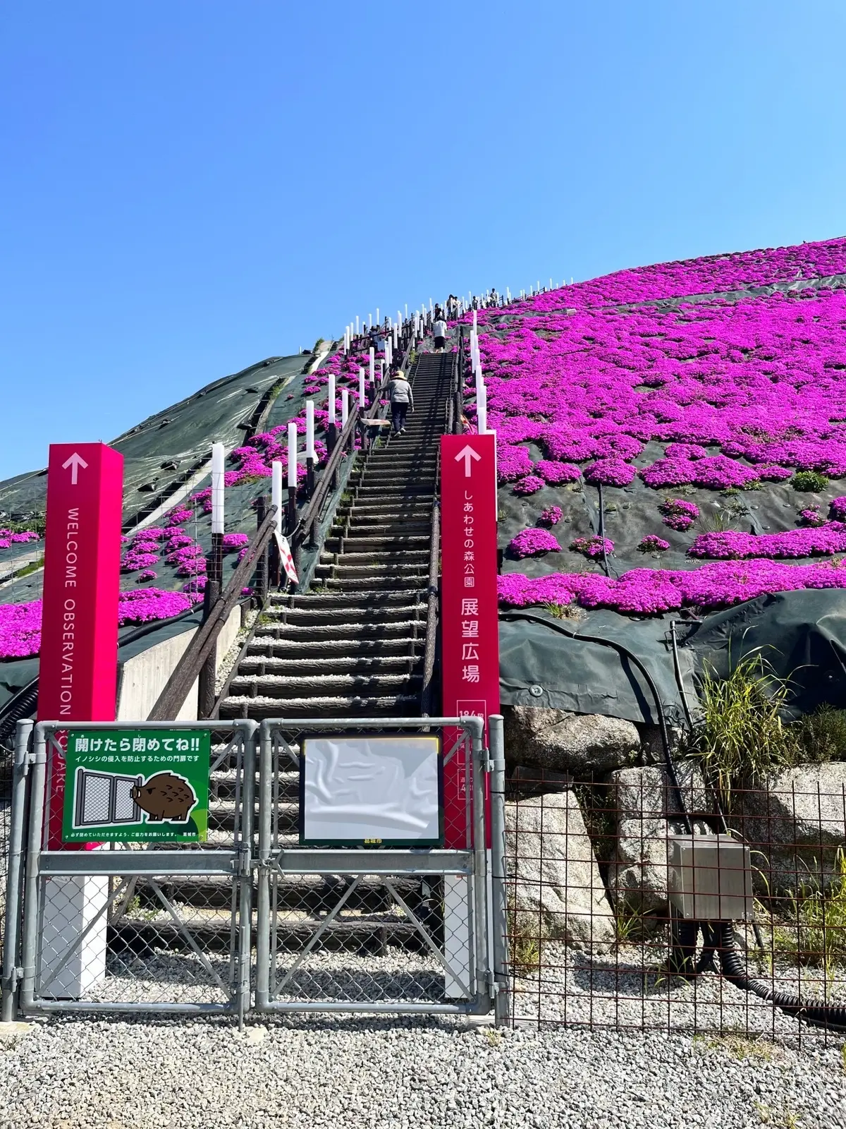 展望広場への階段