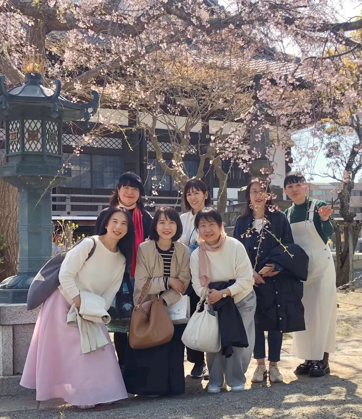 本覚寺。枝垂れ桜の下で。