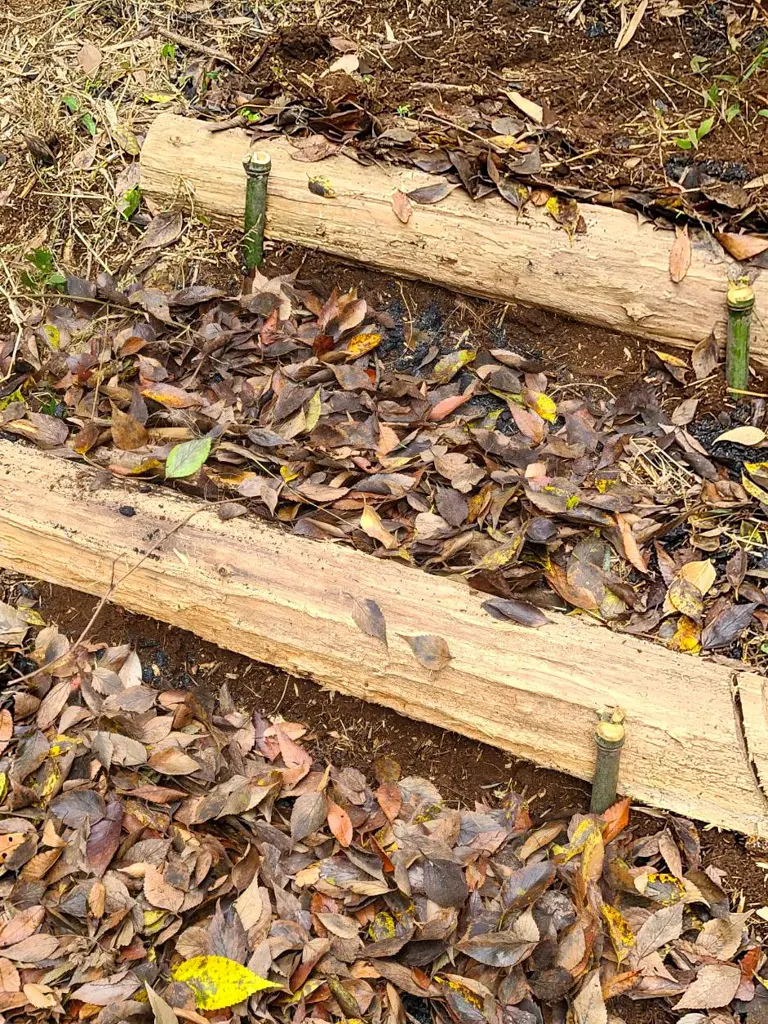 土中環境再生！の画像_4