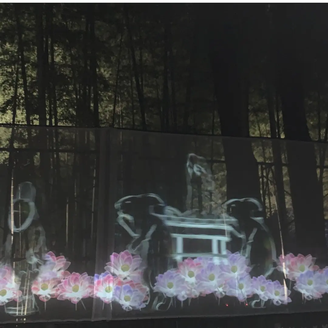 光の祭典を楽しんできましたの画像_4