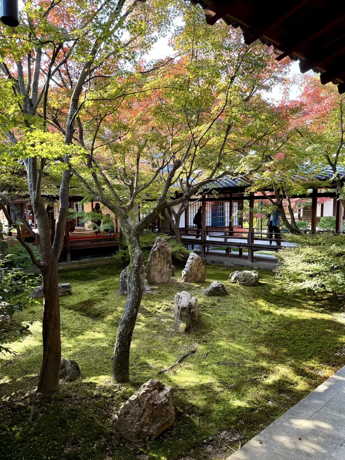 【大人の京都】寺院仏閣とお気に入りの秋のの画像_42