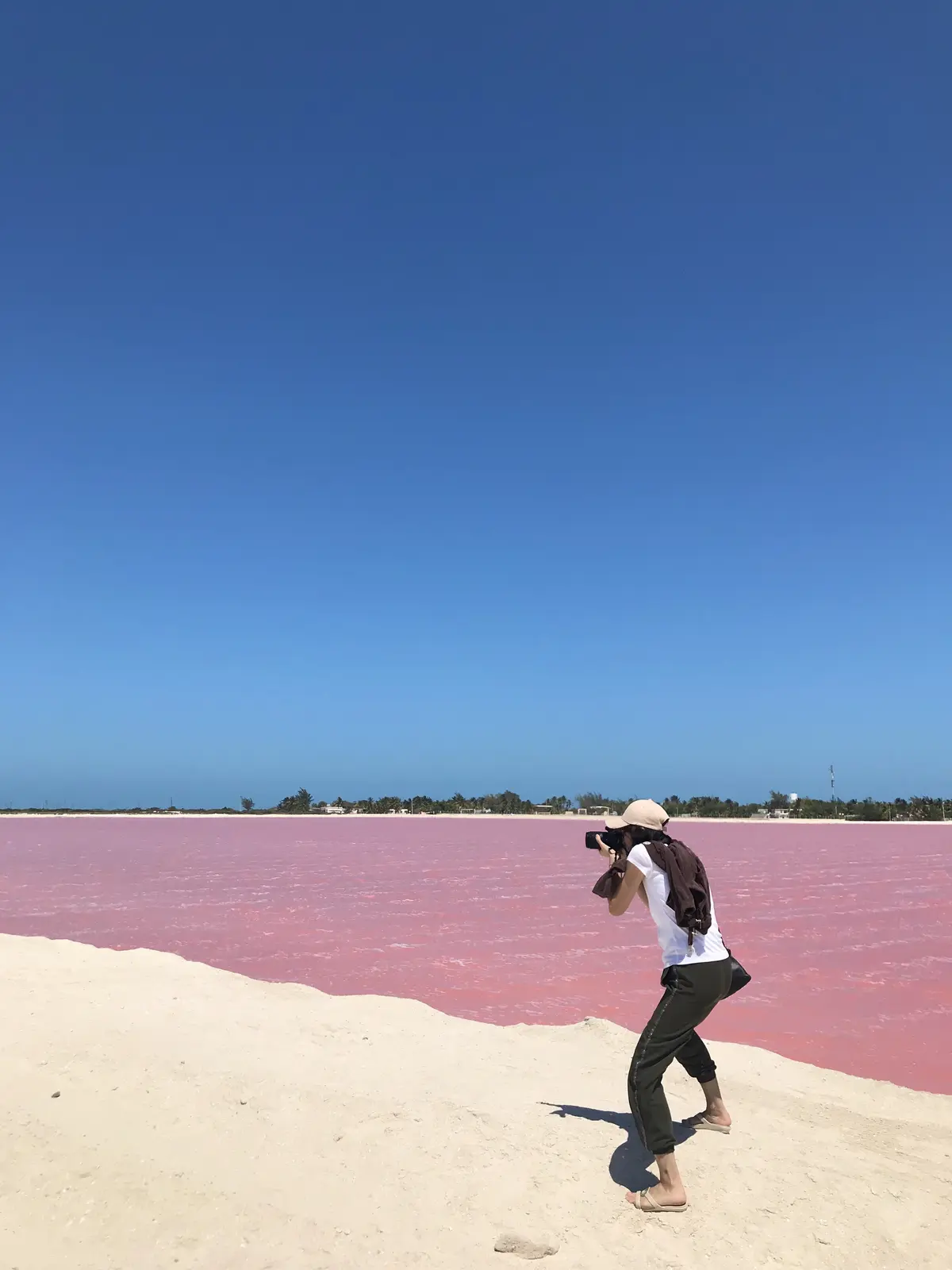 メキシコのピンクレイク⑤