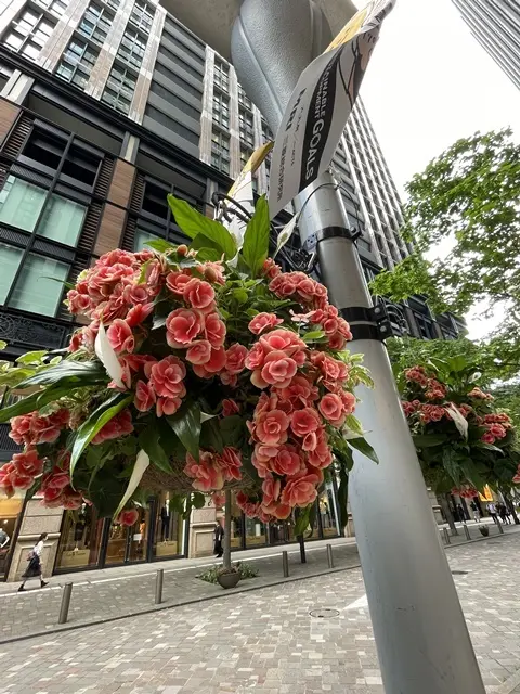 東京・丸の内のハンギングバスケット