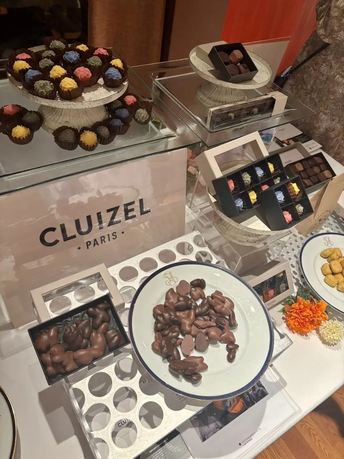 特別な一夜 - ボンジュール・フランス2の画像_4