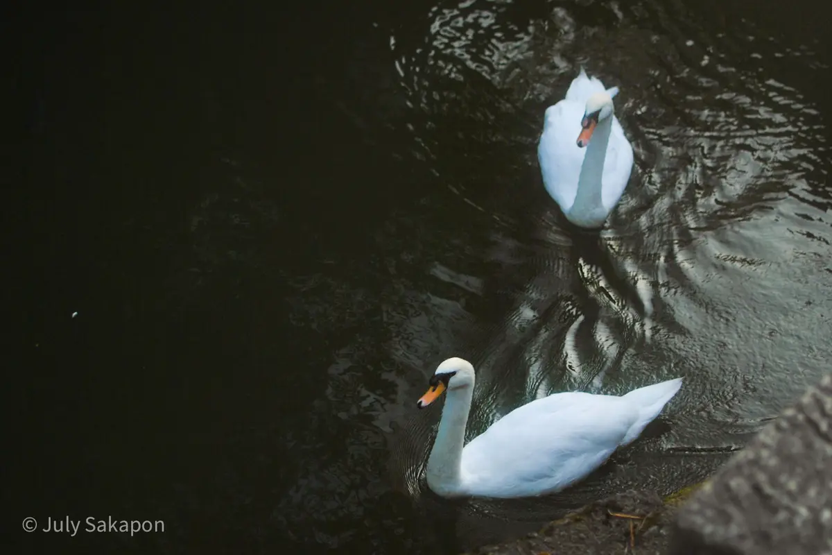 【さかぽんの夏休み】ぶらり☆岡山ナツ旅❤の画像_6