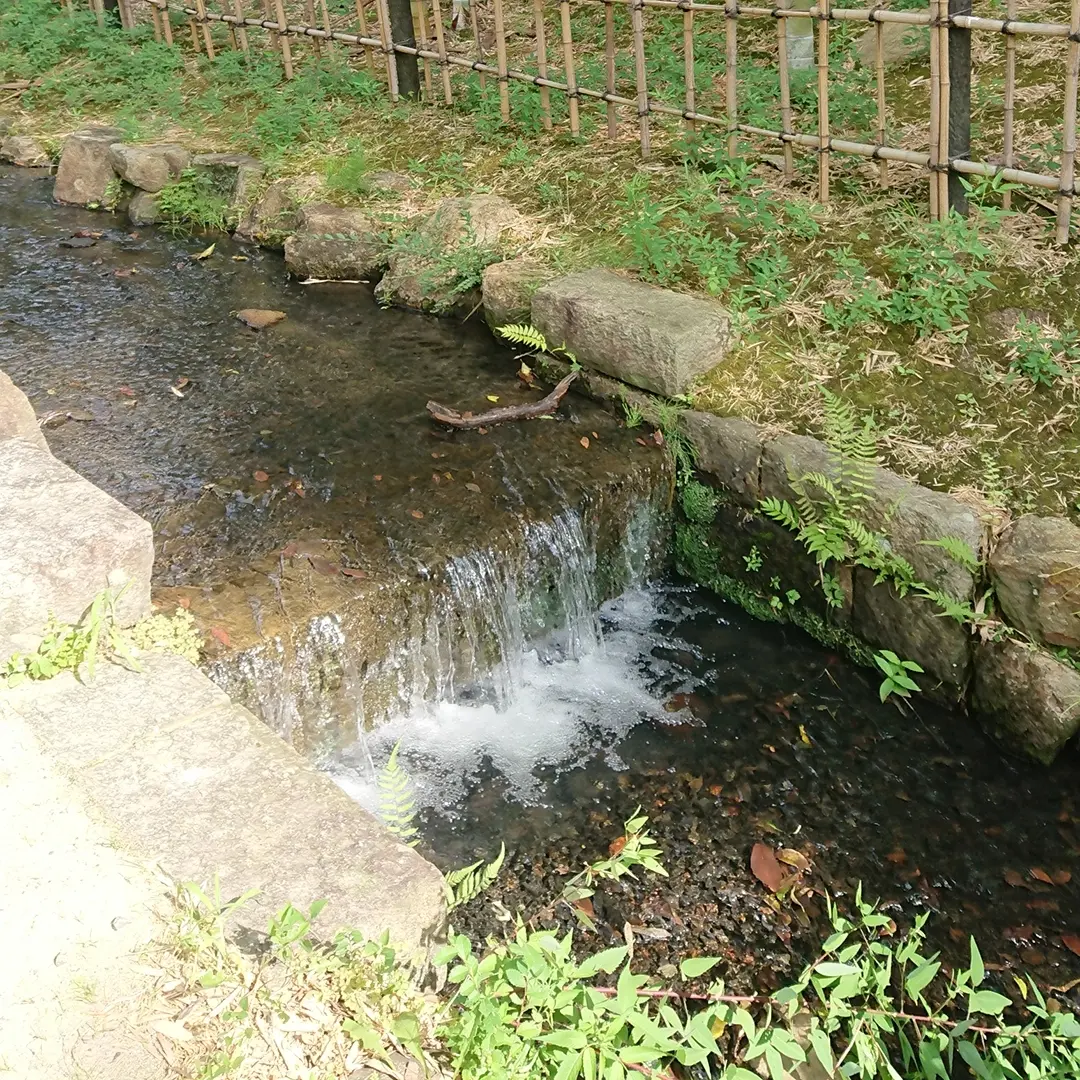 川  公園
