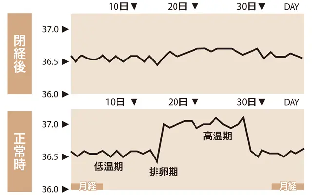 閉経すると基礎体温にも変化が。正常な生理があるときは高温期と低温期の二相に分かれる