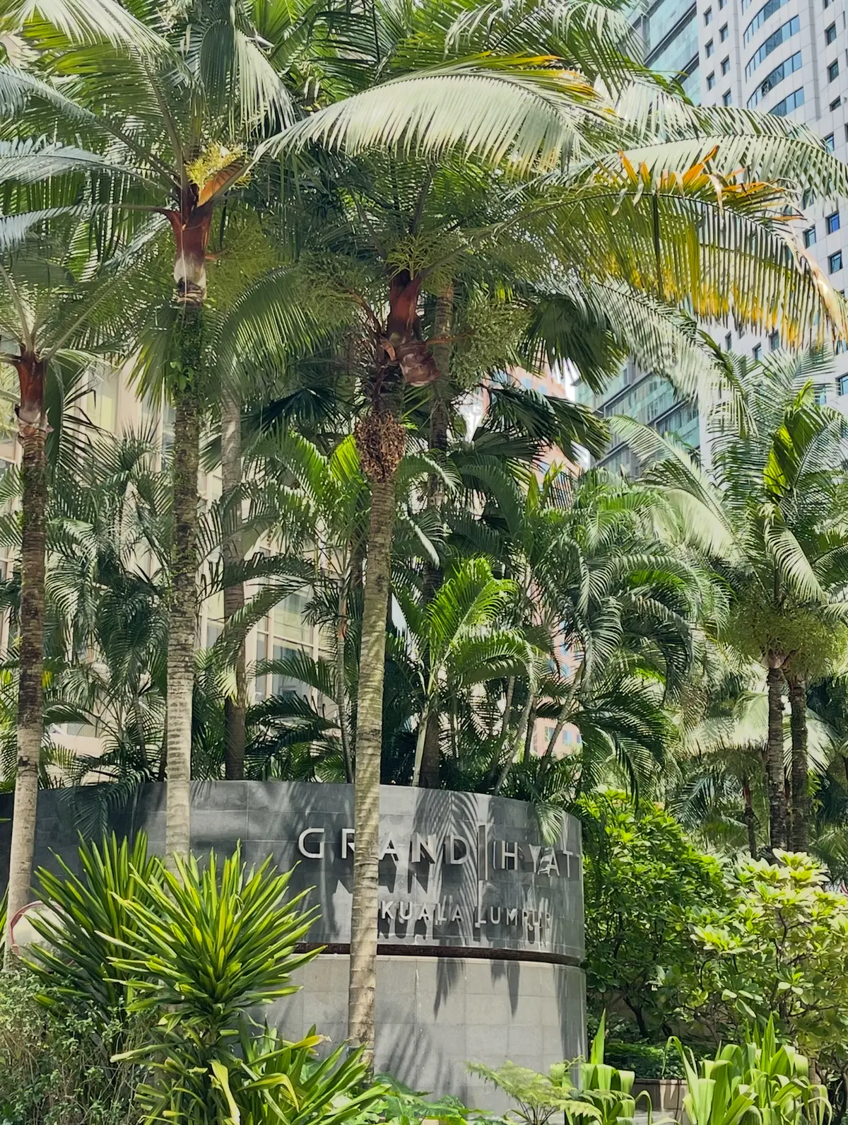 遅めの夏休みはマレーシアへ⭐︎オススメホの画像_2