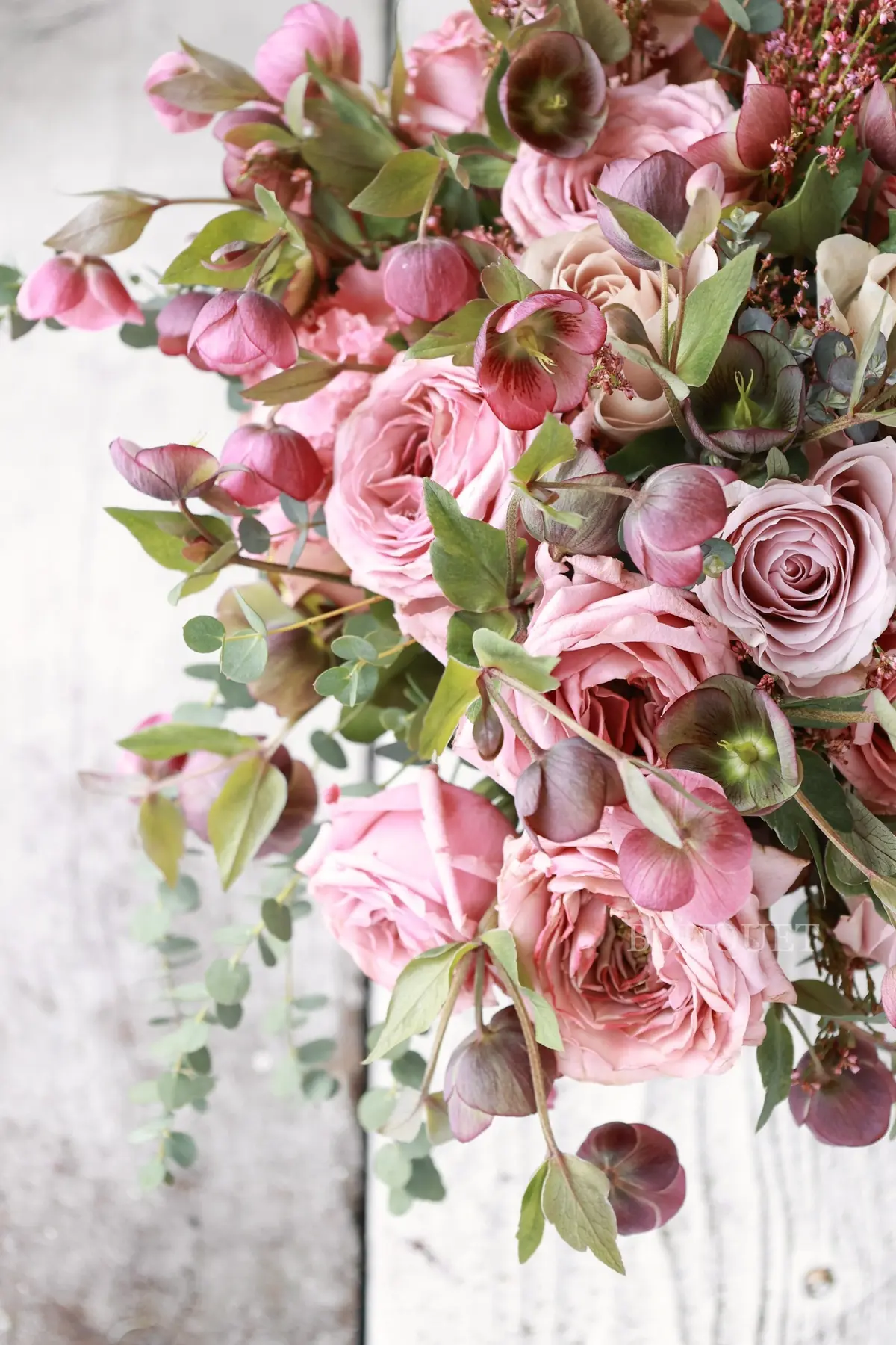 クリスマスローズの開花時期【La Rosの画像_6