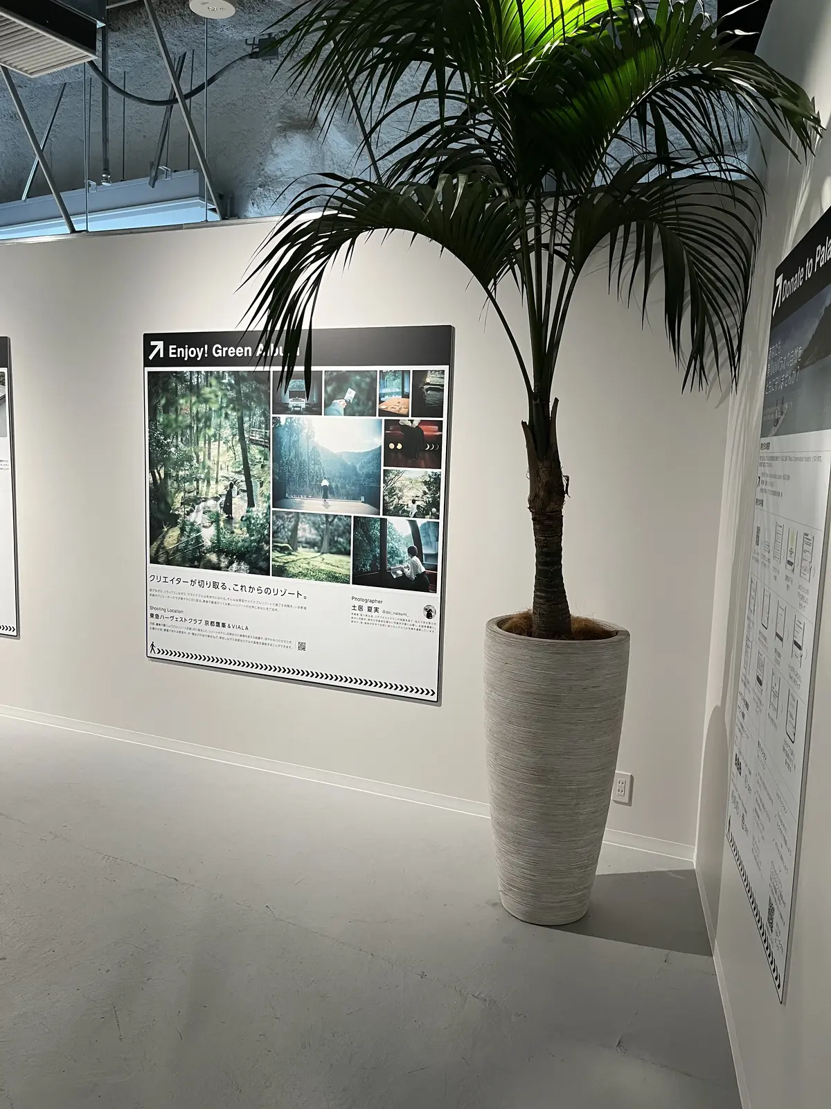 Jマダム同期と表参道ヒルズで初対面♪の画像_11