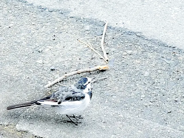 【さかぽんの冒険】冬山かおる温泉旅@高尾の画像_6