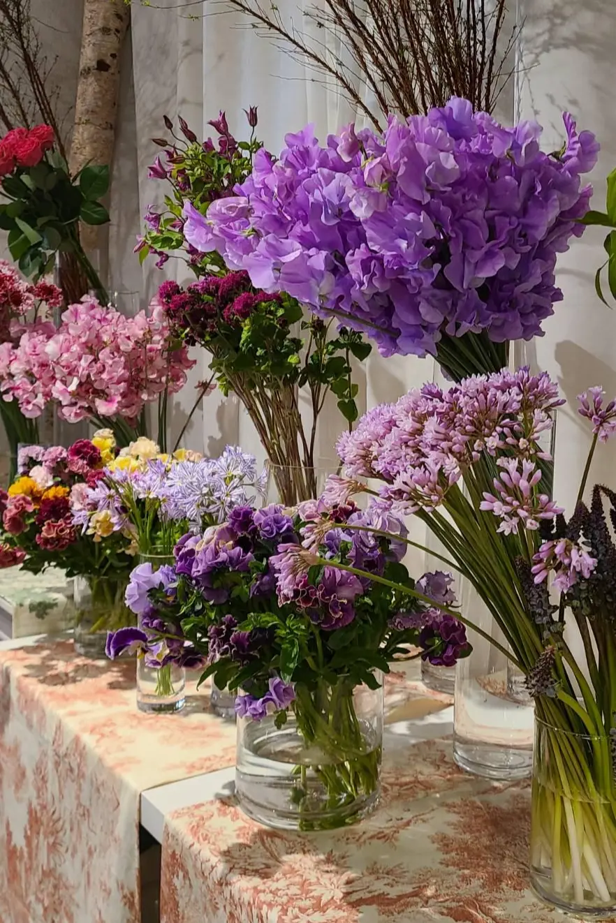 春がやって来たの画像_1