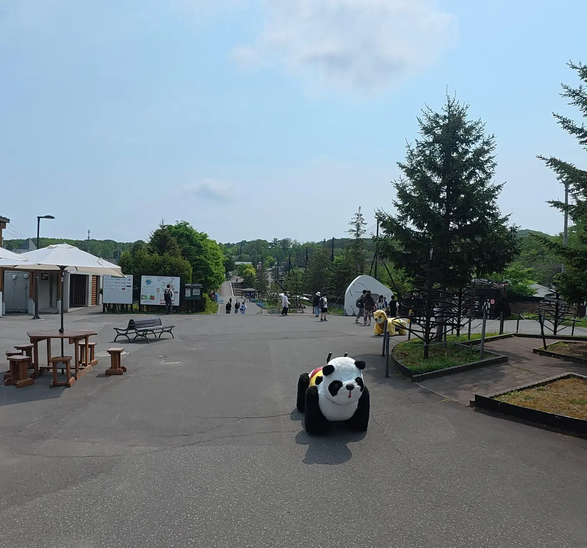 念願だった北海道旭川市「旭山動物園」行っの画像_2