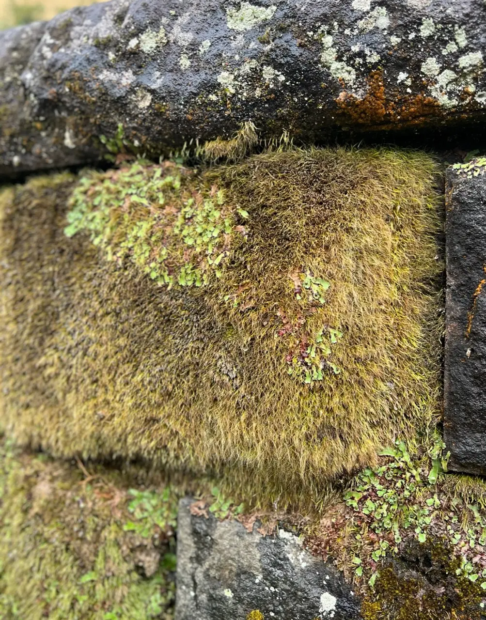 ドライブ女子旅♡雨の箱根美術館の画像_21