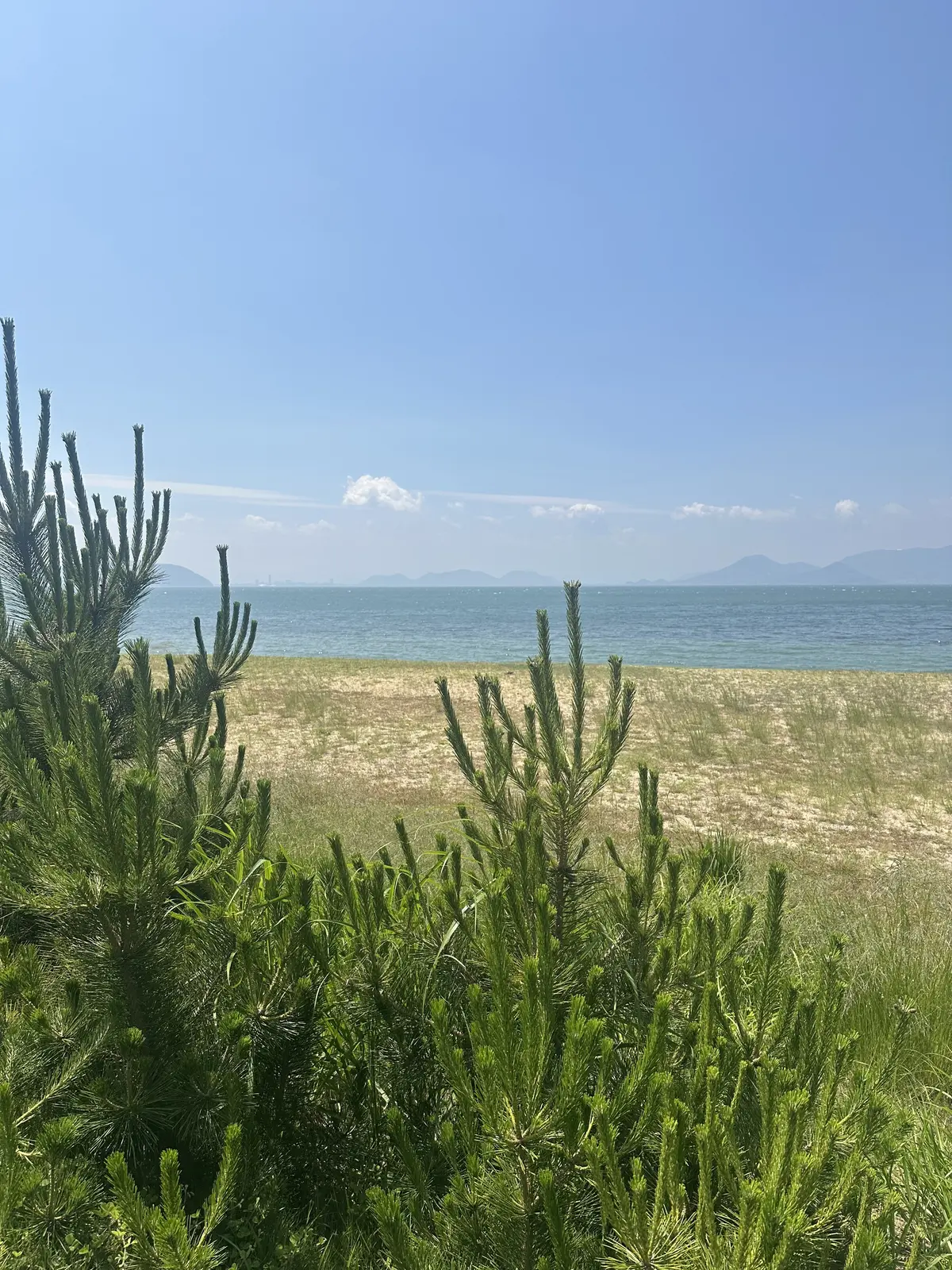 【母妹と直島アートの旅　DAY2】の画像_15