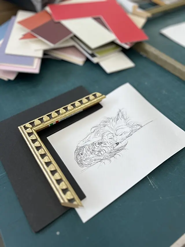 気に入ったこちらのフレームは廃番でした?