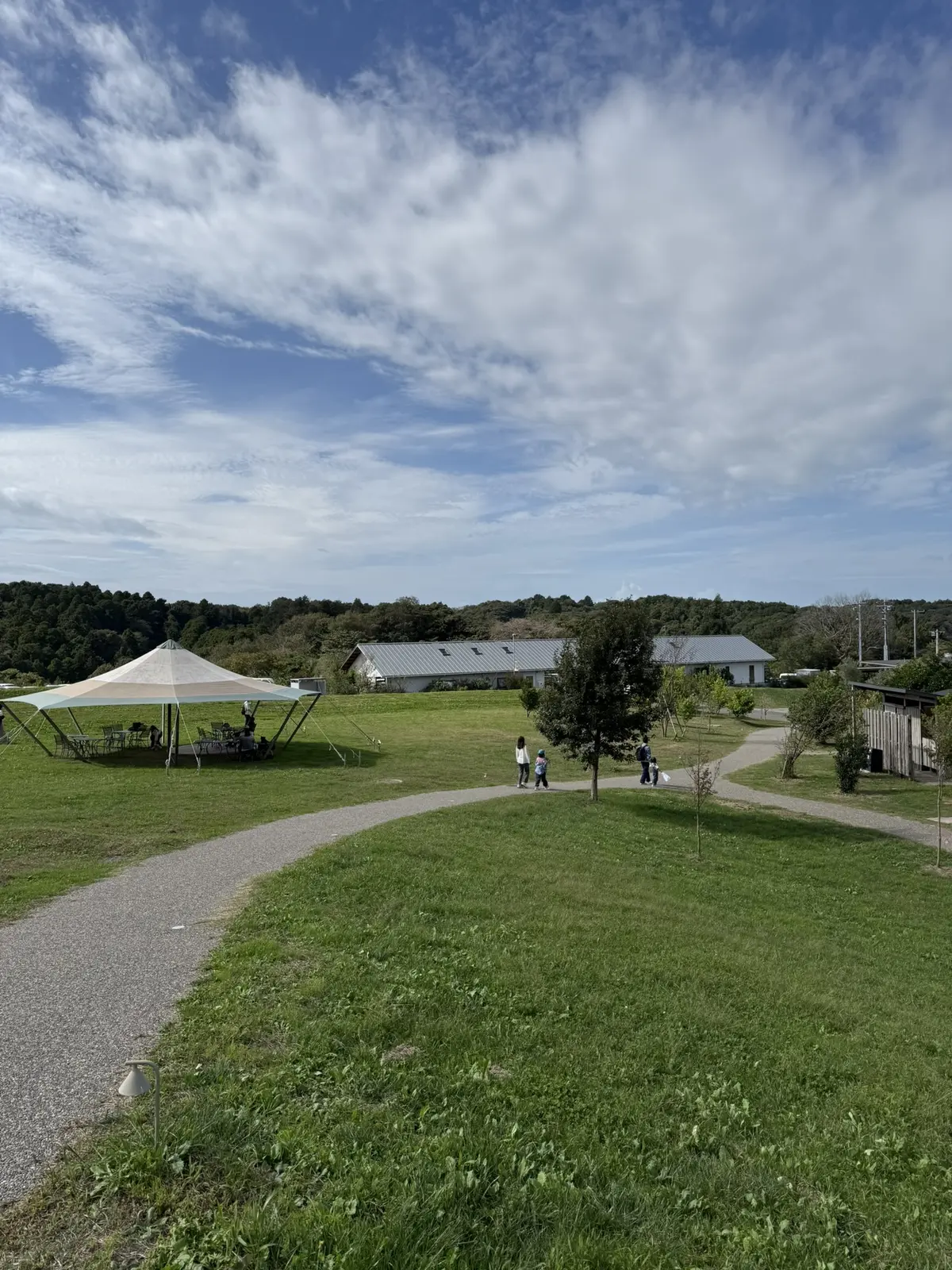 クルックフィールズ