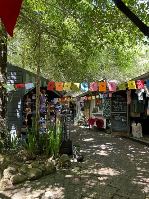 オーストラリア・ケアンズの旅②「世界の車の画像_7